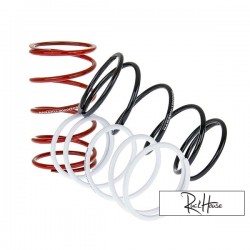 Torque Spring Set Naraku GY6 50cc