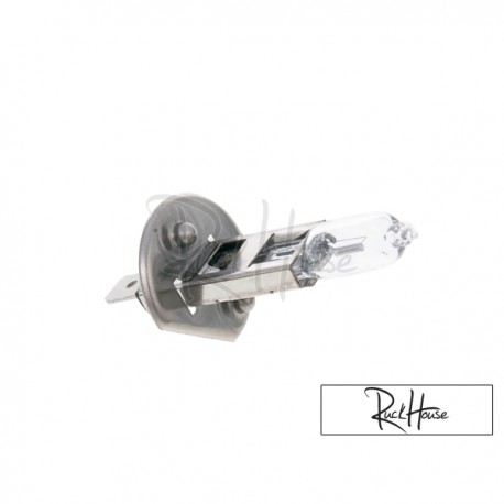 Bulb halogen H1  (12V-55W) P14,5s