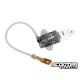 Bulb H3 (12V-55W) PK22S