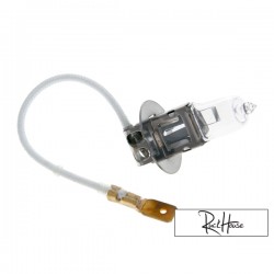 Bulb H3 (12V-55W) PK22S