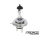 Bulb halogen H4 (12V-60/55W) P43T