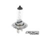 Bulb halogen H7 (12V-55W)  PX26d 