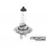 Bulb halogen H7 (12V-55W)  PX26d 