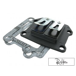 Reed valve Polini Evolution Minarelli Vertical