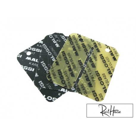 Carbon reeds Malossi