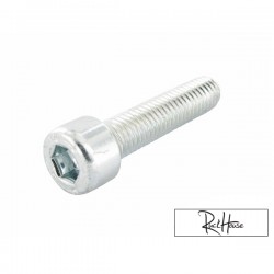 Shock Absorber Bottom Bolt Motoforce M8x35 (minarelli)