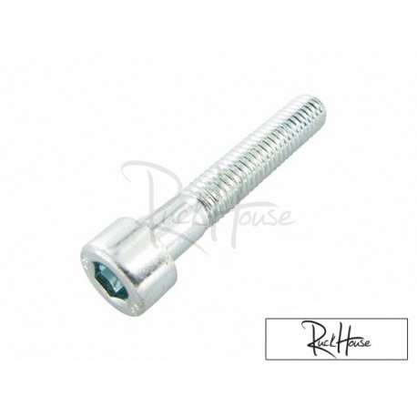 CVT Cover Bolt Motoforce M6x35 (Minarelli & Piaggio)