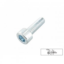 Gearbox, Fan & Waterpump Cover bolt Motoforce M6x20 (Minarelli)