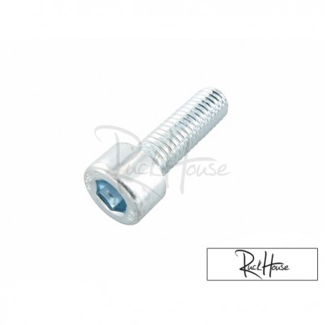 Gearbox, Fan & Waterpump Cover bolt Motoforce M6x20 (Minarelli)