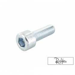 Gearbox, Fan & Waterpump Cover bolt Motoforce M6x25 (Minarelli)