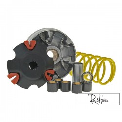 Variator Malossi Multivar (Minarelli 100cc)