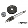 Primary Gear kit Polini HQ 13/44