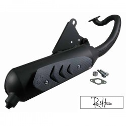 Exhaust Polini Speed (Genuine / PGO)