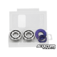 Crankshaft Bearings Polini HQ