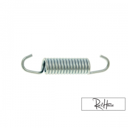 Spring Exhaust Yasuni 55mm