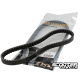 Drive belt Athena Speed