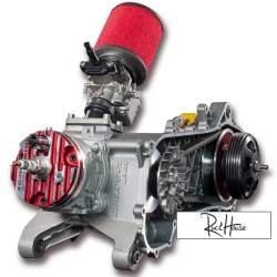 Complete Engine Malossi RC-One 94cc (Minarelli)