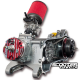 Complete Engine Malossi C-One 70cc (Piaggio 12-13'' Wheel)
