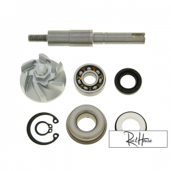 Water Pump Repair Kit (SH150)