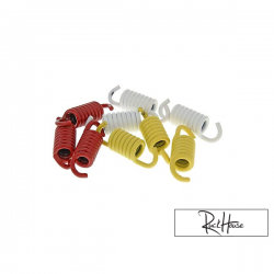 Clutch Spring set Malossi MHR Racing (Piaggio 125-150)