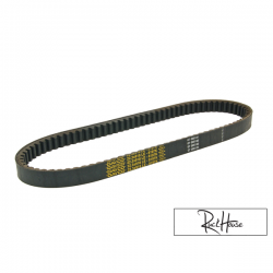 Drive Belt Dayco Power Plus (SH150)