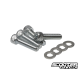 Main Frame Bolts TRS Shiney (4) 