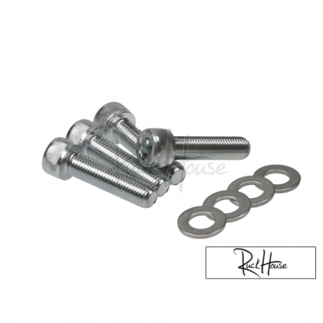 Main Frame Bolts TRS Shiney (4) 