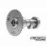 Camshaft Taida T-300 150-232cc (High Rev) 2V