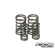 Titanium Valve Spring Taida Upgraded (2V)