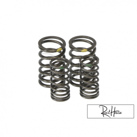 Titanium Valve Spring Taida Upgraded (2V)