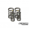 Titanium Valve Spring Taida Upgraded (2V)