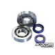 Crankshaft Bearing Polini Evolution (Piaggio)