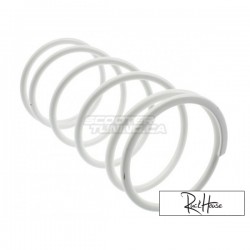 Torque Spring Malossi White 4.2K (Dio)