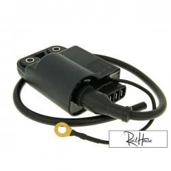 Ingition Coil with CDI unit (Piaggio)