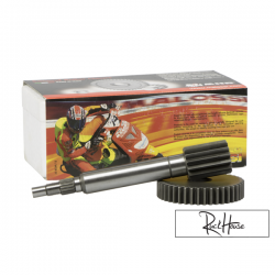 Malossi 14/42 Primary Gearing CPI-Vento