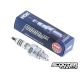 Spark Plug Iridum CR7HIX