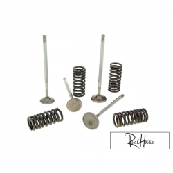 Cylinder Head Valve with Spring Malossi