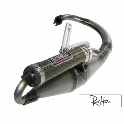 Exhaust Giannelli Reverse Minarelli Vertical