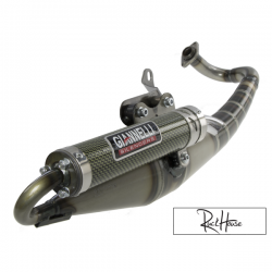 Exhaust Giannelli Reverse Piaggio